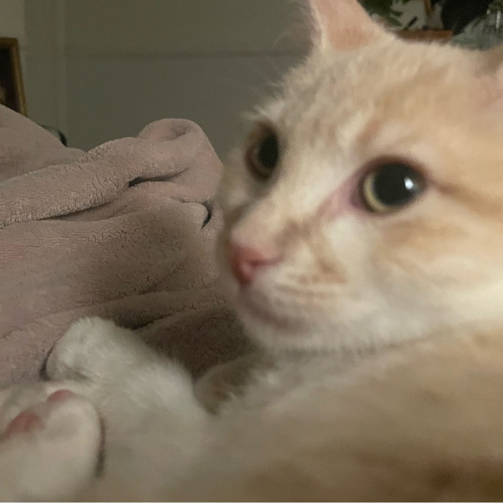 Meet your Posher, Subl1m3